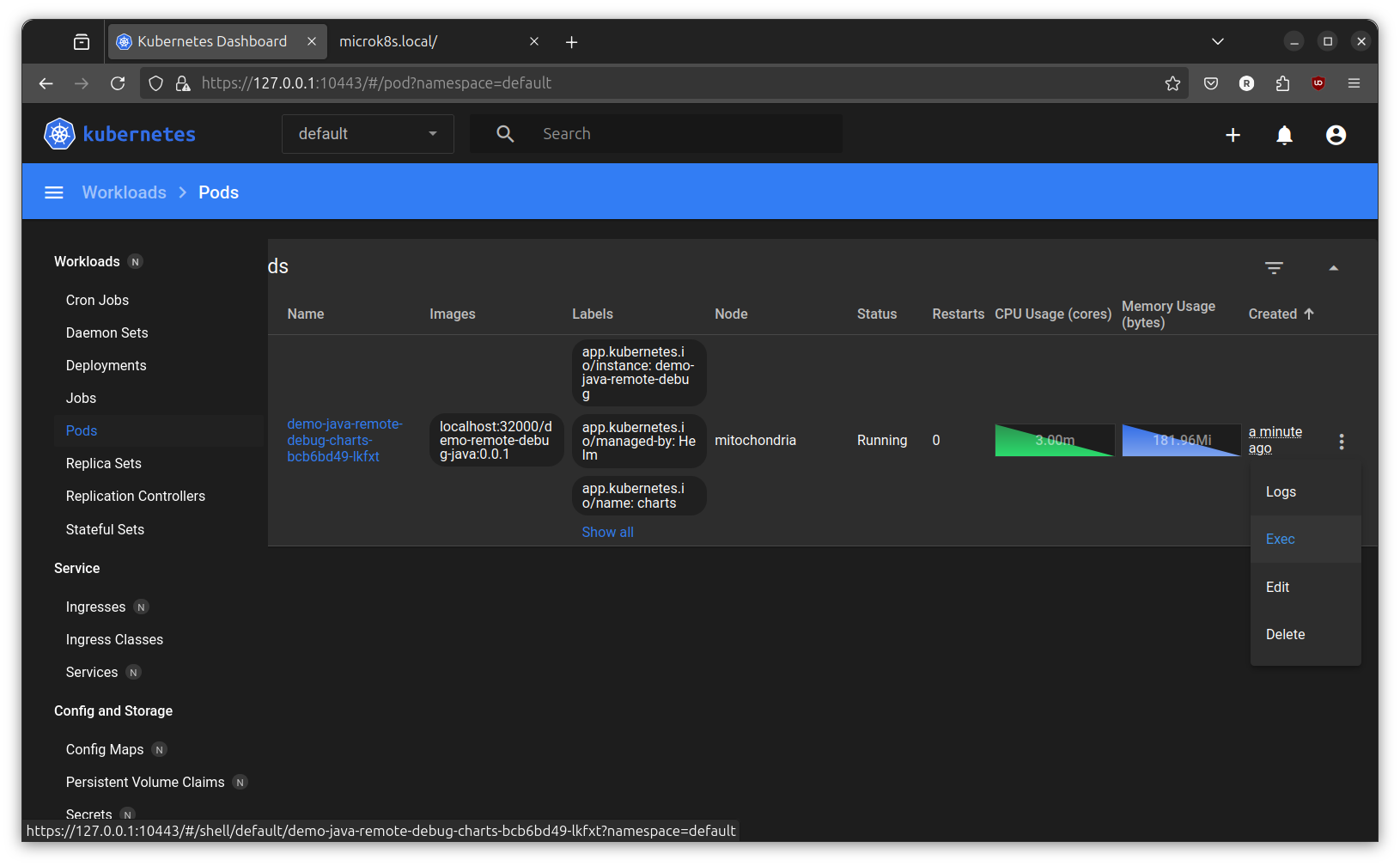 exec on java remote debug pod