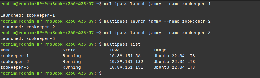 output multipass list