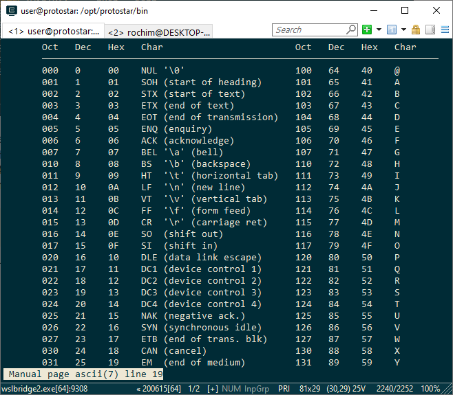 man ascii